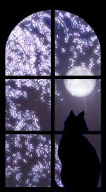 `Window La Moon